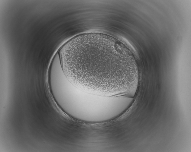 X0000115070900200911241120