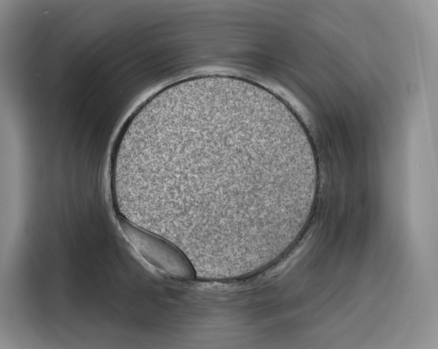 X0000115070902200911241120