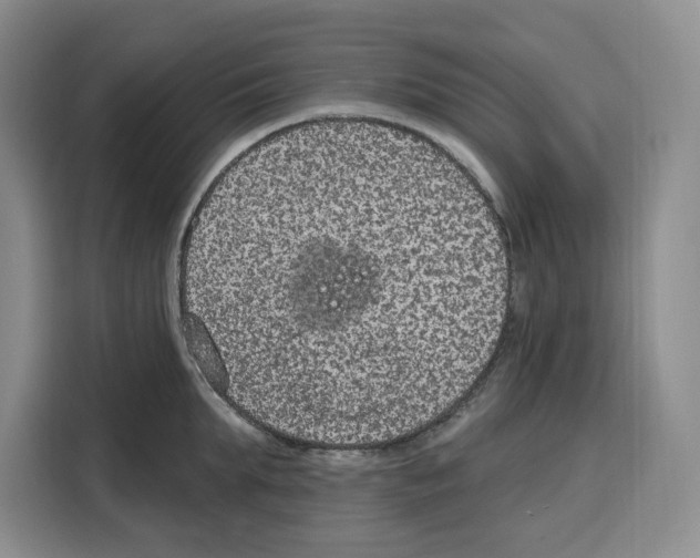 X0000115070903200911241120