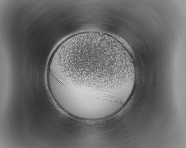 X0000115070904200911241120