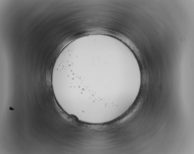 X0000115070905200911241120