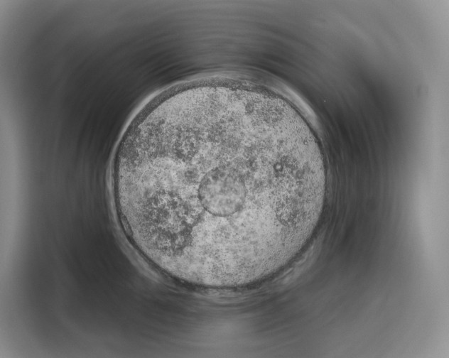 X0000115070907200911241120