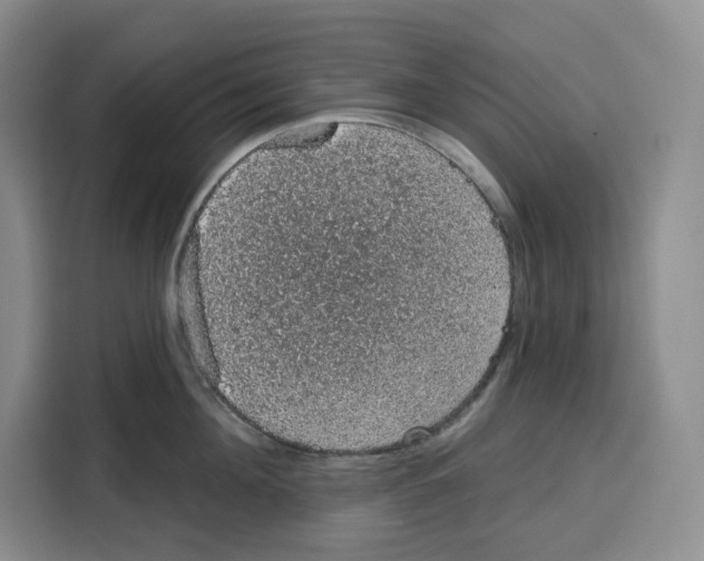 X0000115070908200911241119