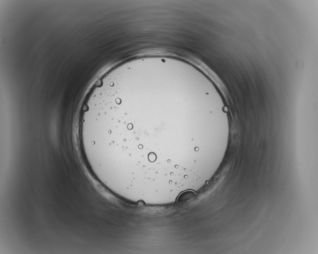 X0000115070909200911241119