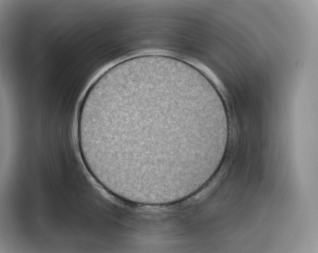 X0000115070910200911241119