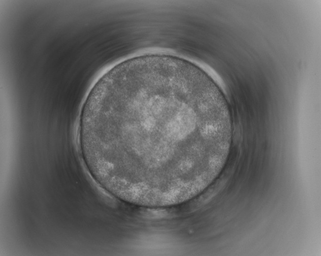 X0000115070911200911241119