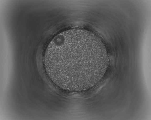 X0000115070913200911241119