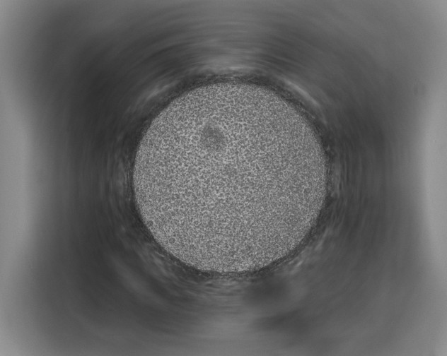 X0000115070917200911241119