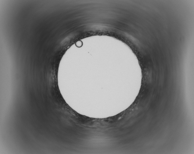 X0000115070918200911241119