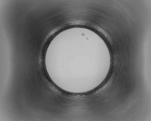 X0000115070922200911241119