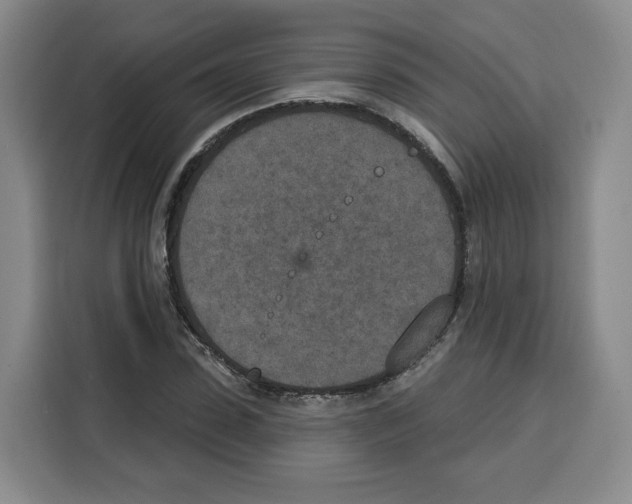 X0000115070923200911241119