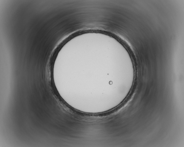 X0000115070925200911241119