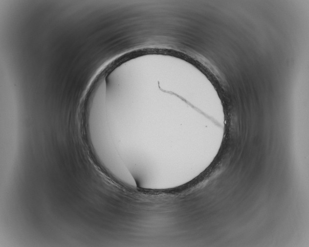 X0000115070926200911241119