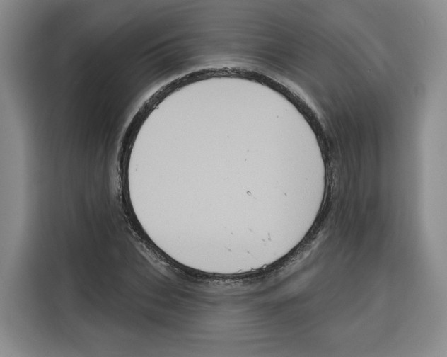 X0000115070927200911241119