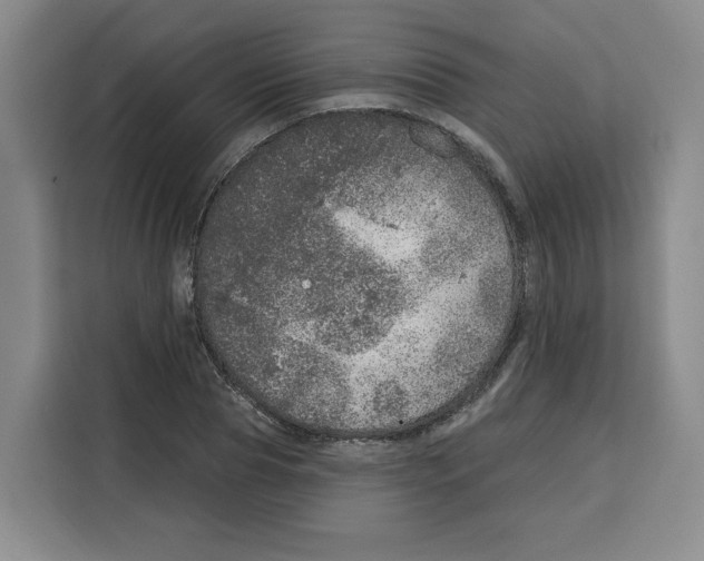 X0000115070929200911241119