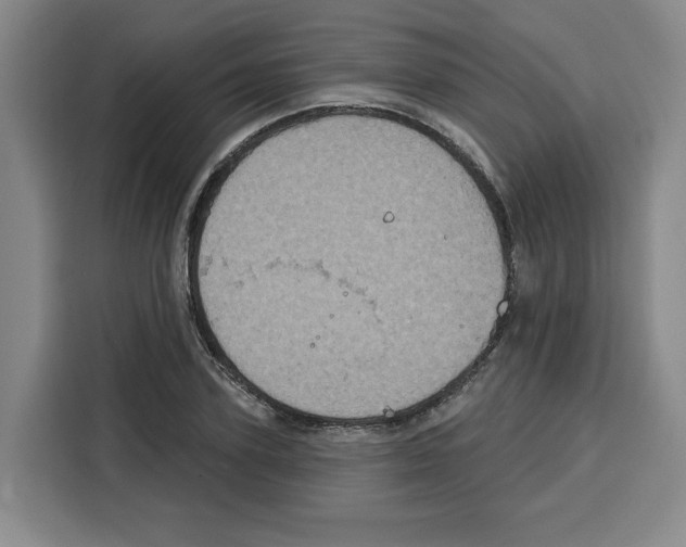 X0000115070931200911241119