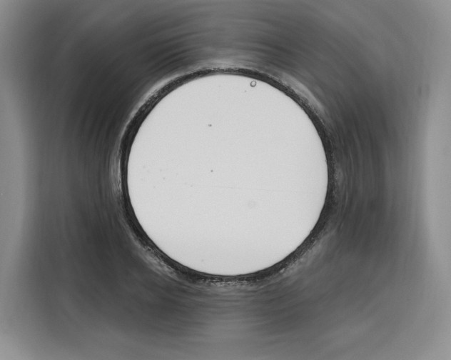 X0000115070934200911241119