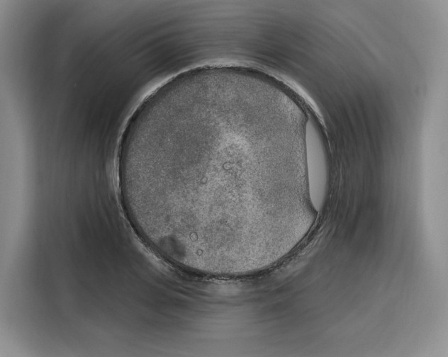 X0000115070935200911241119