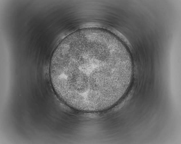 X0000115070937200911241119