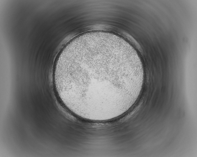 X0000115070938200911241119