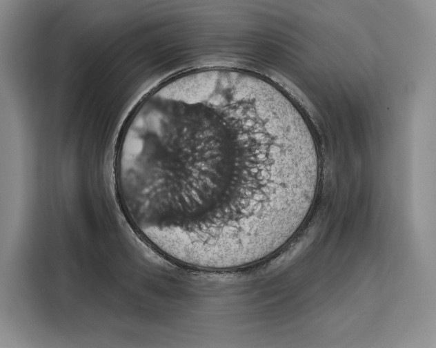 X0000115070941200911241119