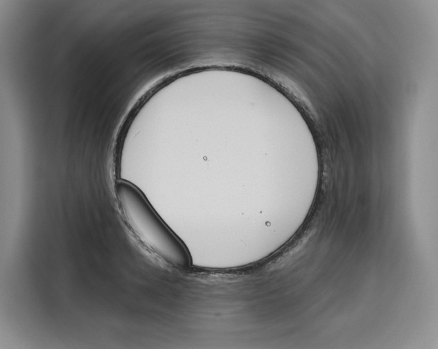 X0000115070942200911241119