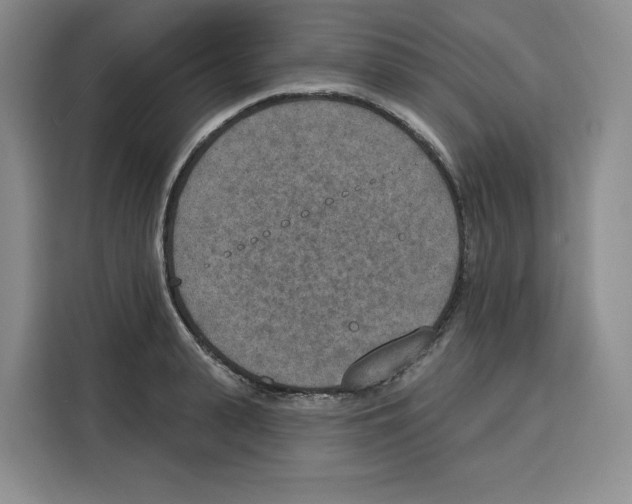 X0000115070943200911241119