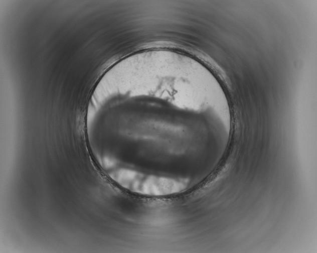 X0000115070945200911241119