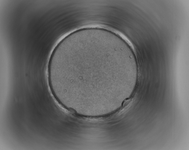 X0000115070951200911241119