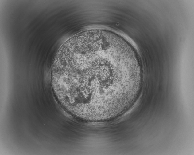 X0000115070953200911241119