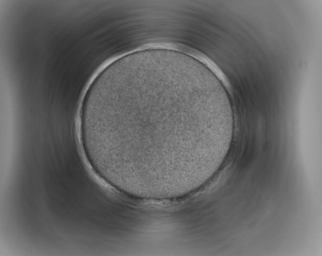 X0000115070955200911241119