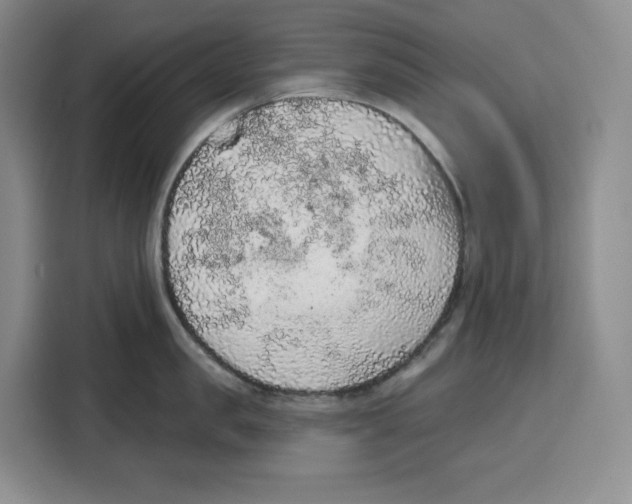 X0000115070957200911241119