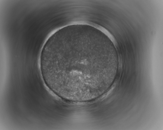 X0000115070958200911241119