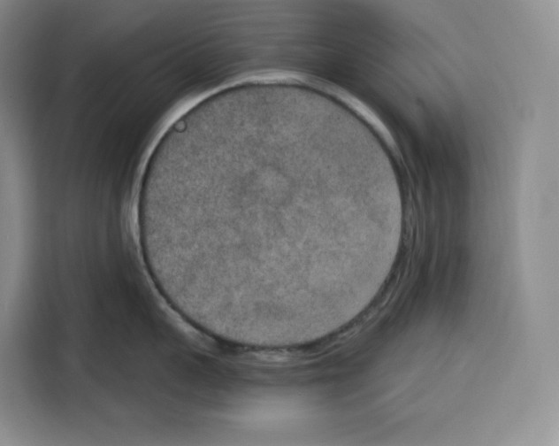 X0000115070959200911241119