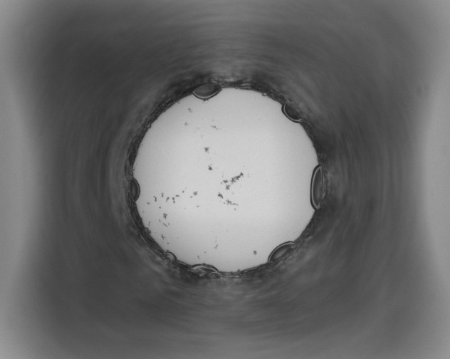 X0000115070961200911241119