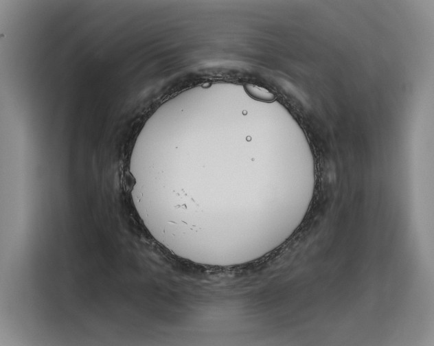 X0000115070965200911241119