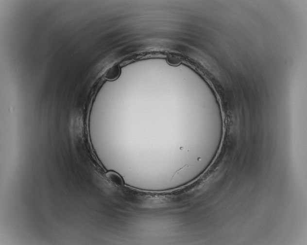 X0000115070969200911241119