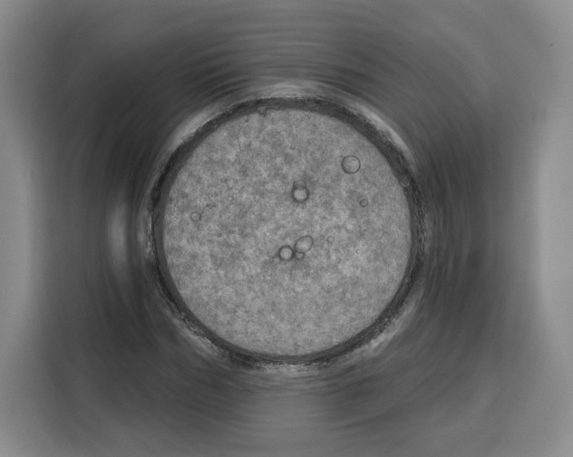 X0000115070970200911241119