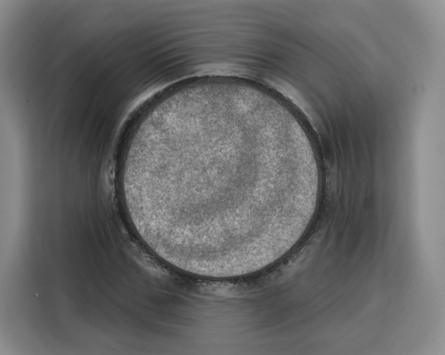 X0000115070971200911241119
