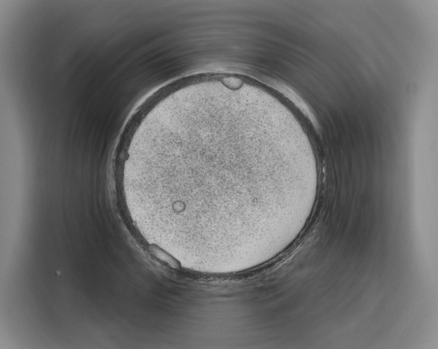 X0000115070972200911241119