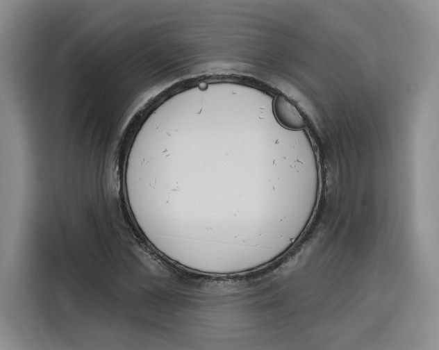 X0000115070973200911241119