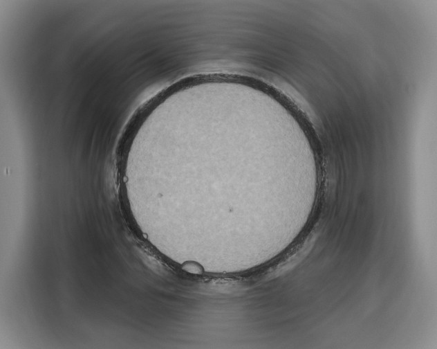 X0000115070974200911241119