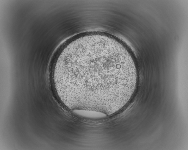 X0000115070975200911241119
