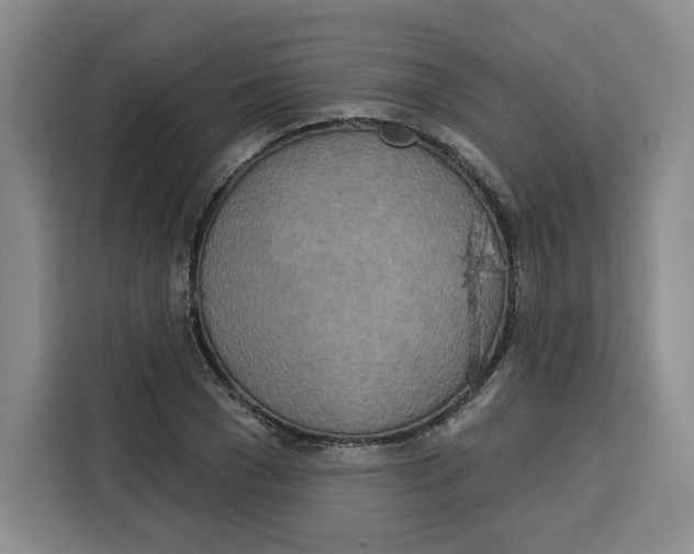 X0000115070977200911241119