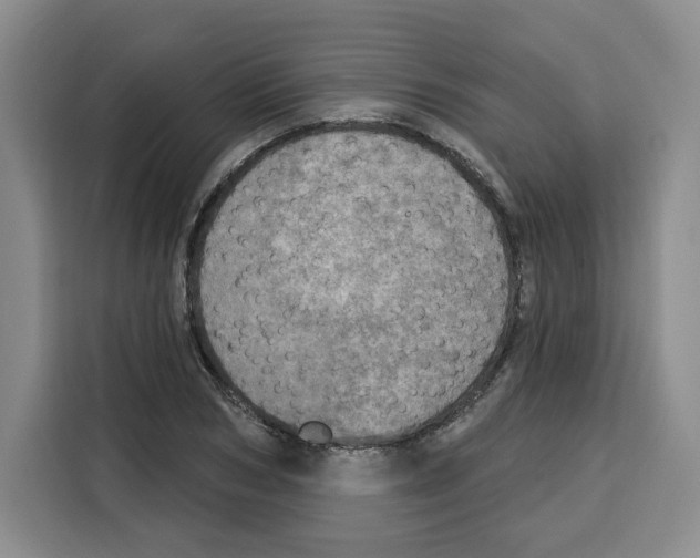 X0000115070978200911241119