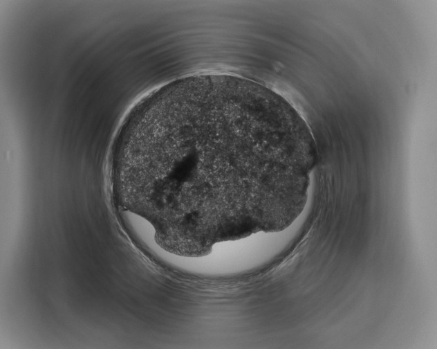 X0000115070979200911241119
