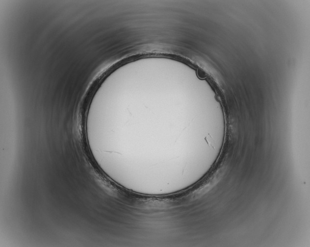 X0000115070981200911241119