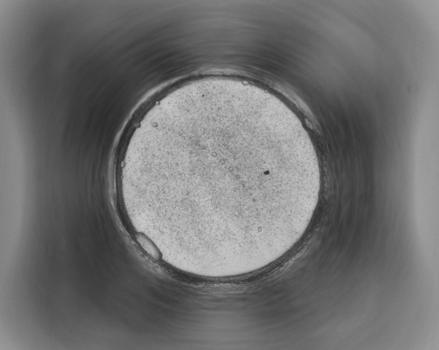 X0000115070984200911241119
