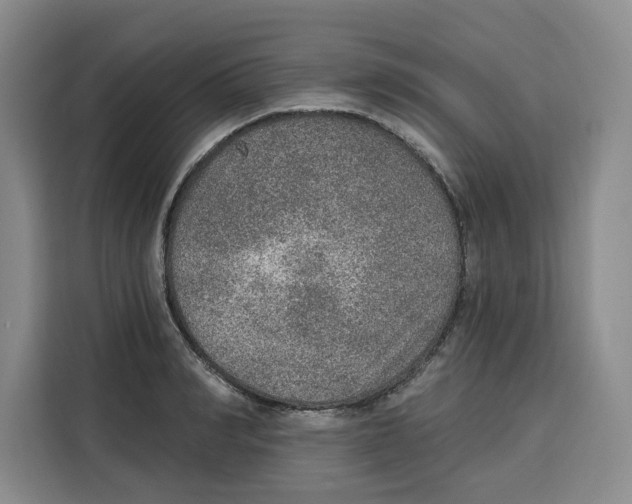 X0000115070990200911241118