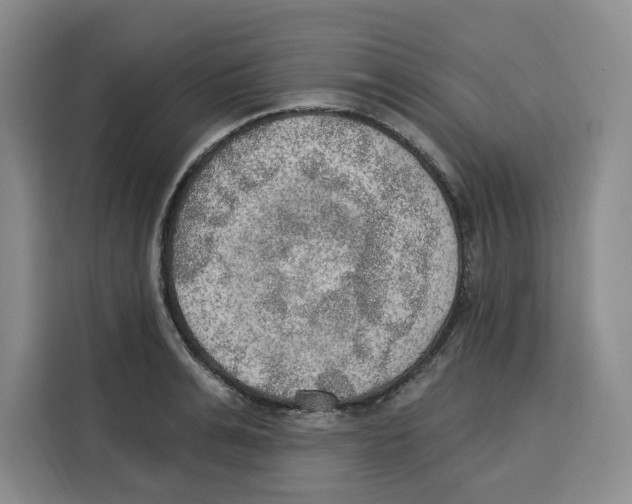 X0000115070991200911241118